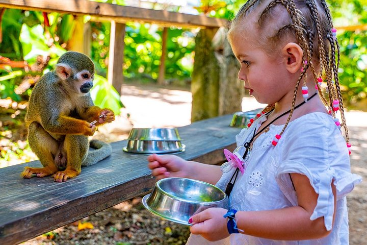 Monkeyland & Plantation Safari Full Day from Juan Dolio - Photo 1 of 11